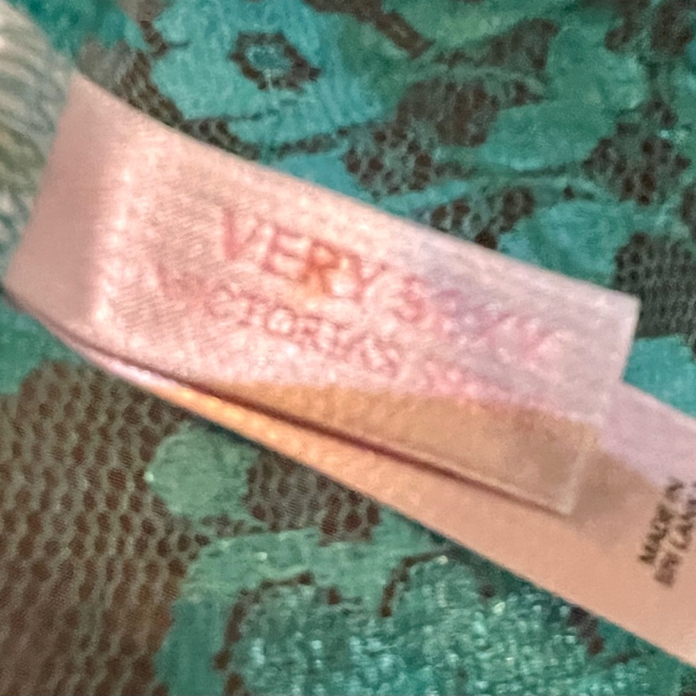 Victoria's Secret Teal Lace and Leopard Print Chemise - Picture 3 of 3